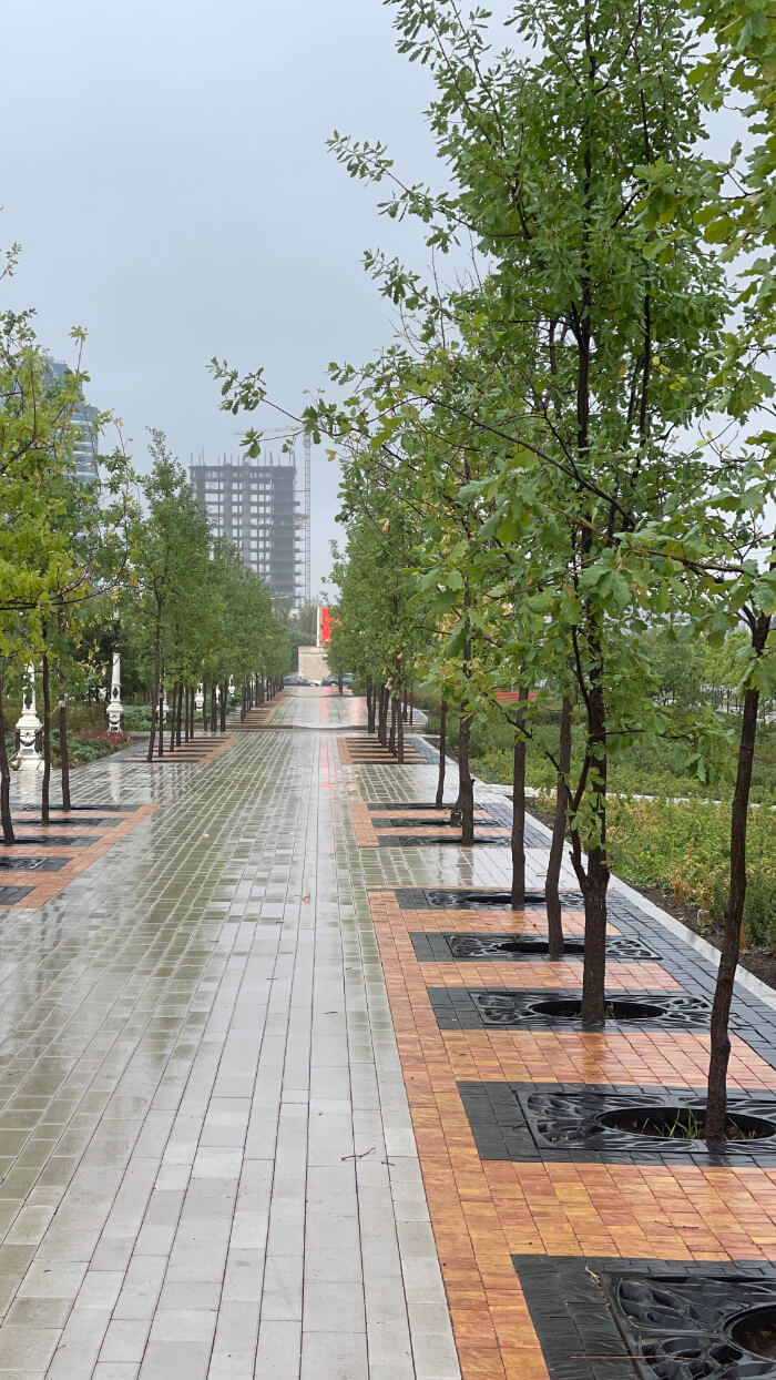 Приствольная решетка для дерева ZKING CRUST 1.2х1.2м Черная